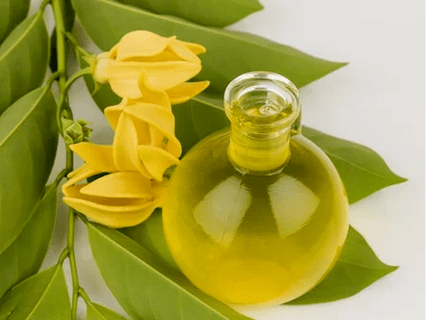 Aromaterapia na zlepšenie účinnosti